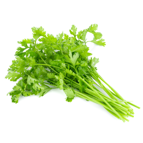 Coriander 1 bunch