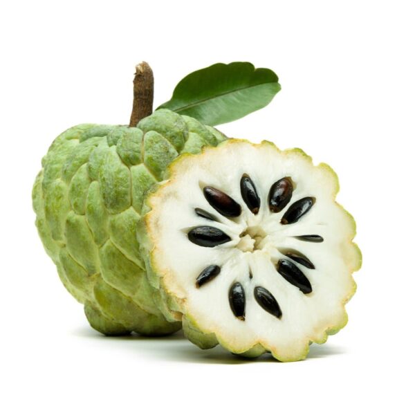 Custard Apple 1 unit