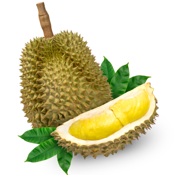 Durian Whole | Fresh Import from Thailand ~2- 3kg