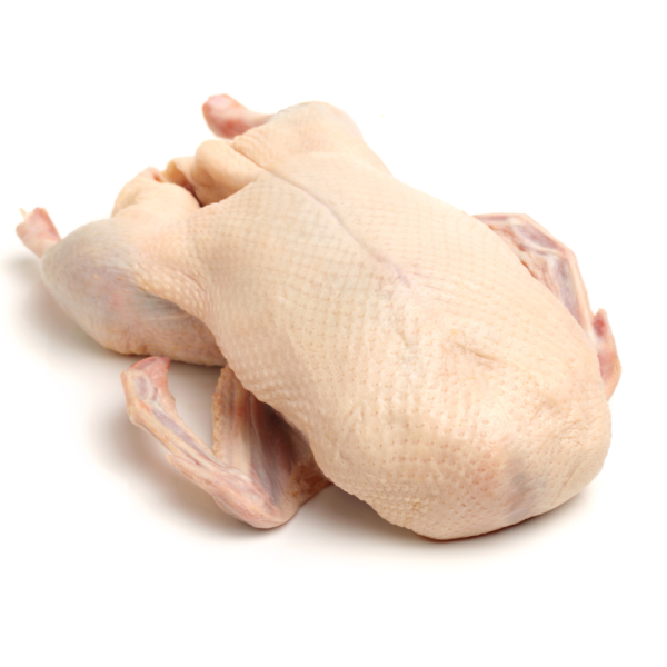 Halal Freshly Frozen Whole British Goose with Giblets ~4kg ~8-10 Servings