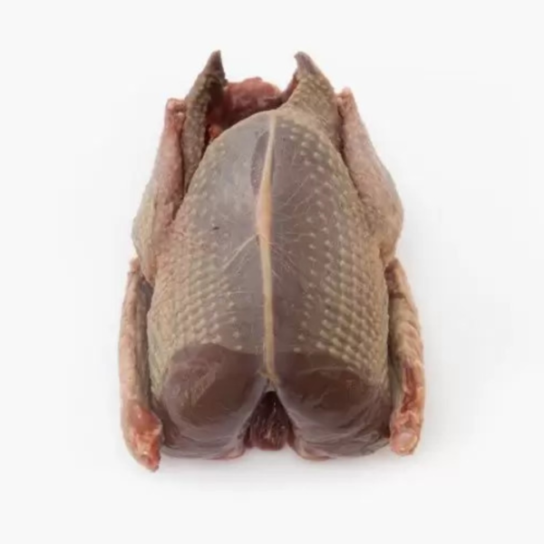 Halal Freshly Frozen Wood Pigeon 2 Units~700gr