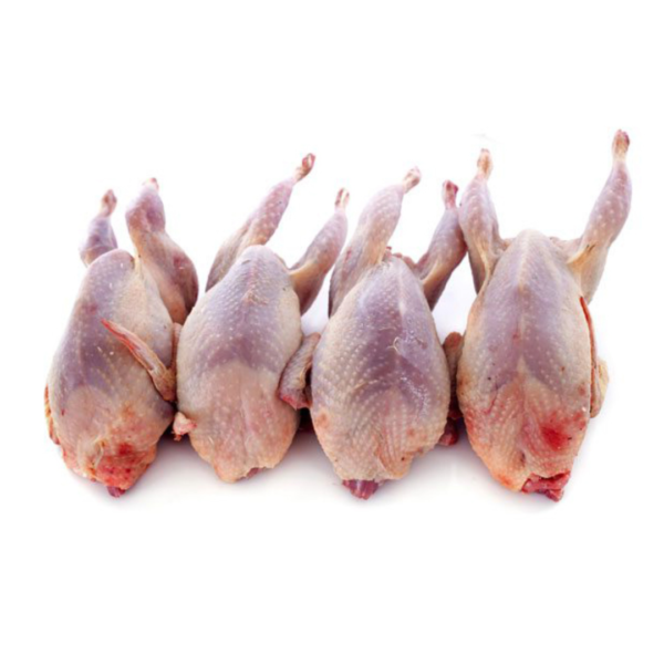 Halal Whole Quail 4 Pack ~600gr