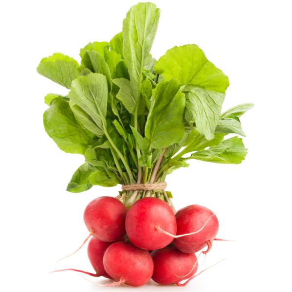 Red Radish 1 pack