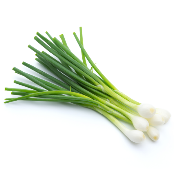 Spring Onions 1 bunch