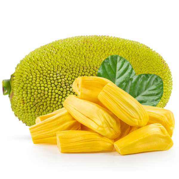 Whole Mexican Jackfruit ~10-14 kg | Fresh Import From Mexico